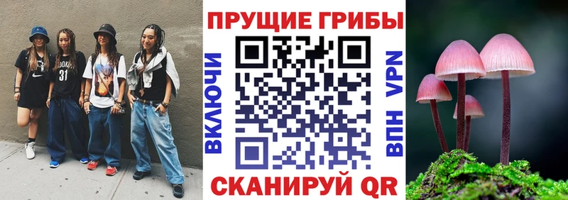 Галлюциногенные грибы MAGIC MUSHROOMS  Щигры 